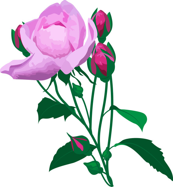 花的设计艺术图片下载