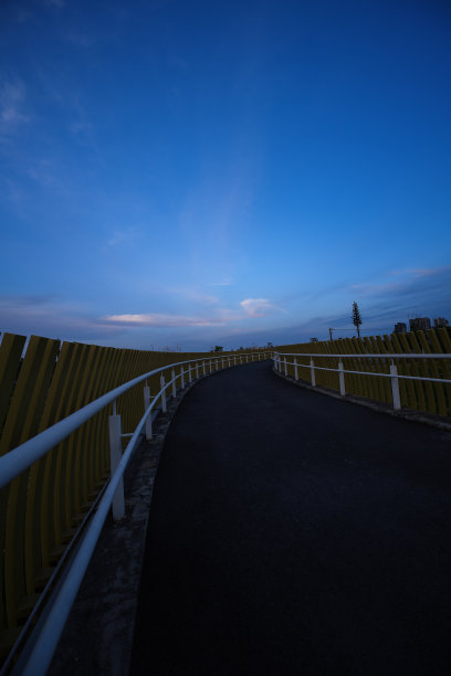 花、草、树黄昏图片下载