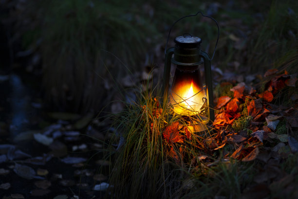 灯笼在秋天的森林里亮着图片下载