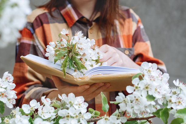 这个女孩正在看书图片下载