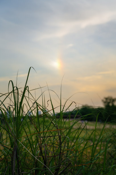 黄昏的草地和河流图片下载