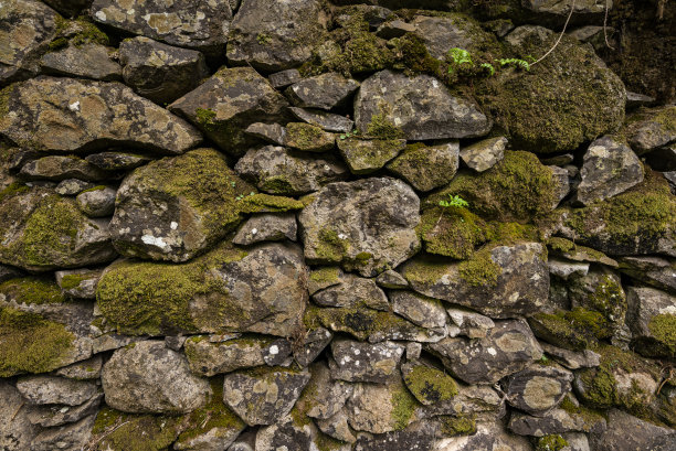 苔覆天然石墙纹理图片下载