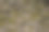 苔覆天然石墙纹理图片下载
