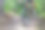 山地自行车手在一个困难的地方(普法尔茨森林，德国)图片下载