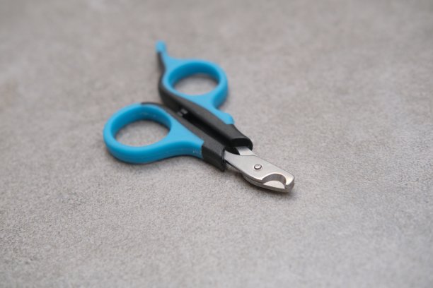 灰色背景的猫指甲剪刀图片下载