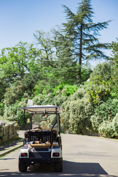 白色长电动汽车，供8人短途旅行使用图片下载