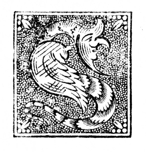 字母S代表蛇，Andromorphic Face & Angel Wings代表蛇在伊甸园图片下载