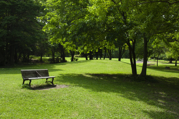公园的长椅上图片下载