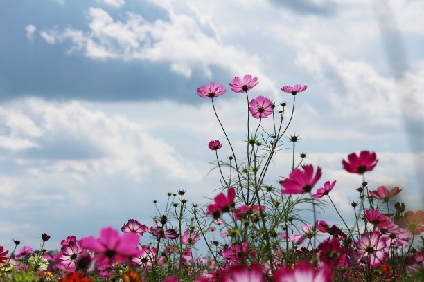 厚厚的云层图片下载