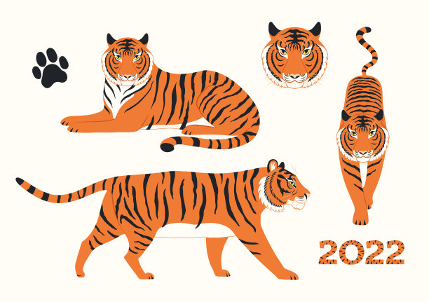 2022年中国新年手画老虎收藏图片下载