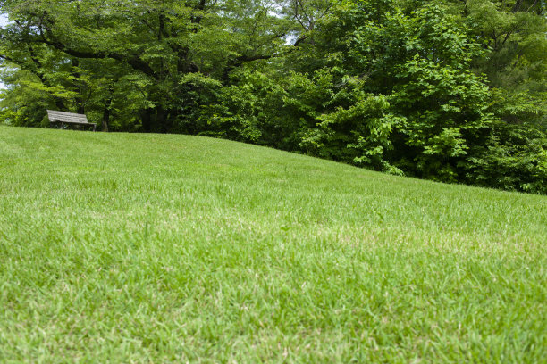 格林公园图片下载