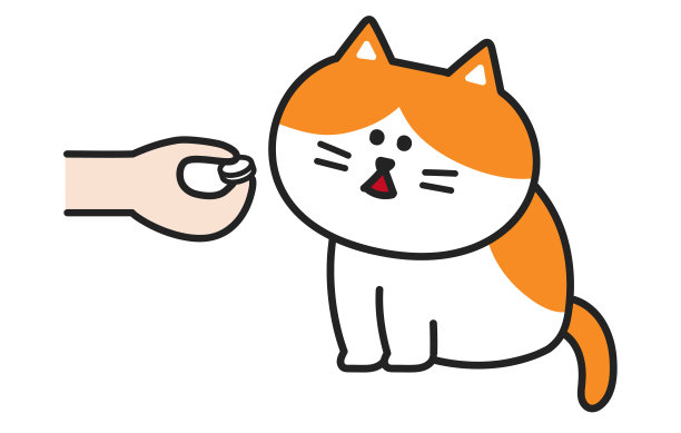 一只猫正在主人那里吃药。图片下载