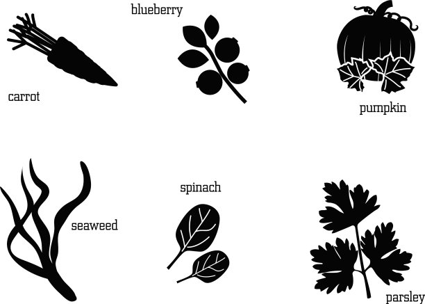 一些可食用植物的剪影——食物的集合图片下载