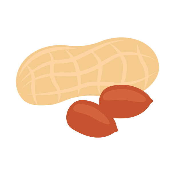 花生饱满，有壳坚果和开壳坚果花生图片下载