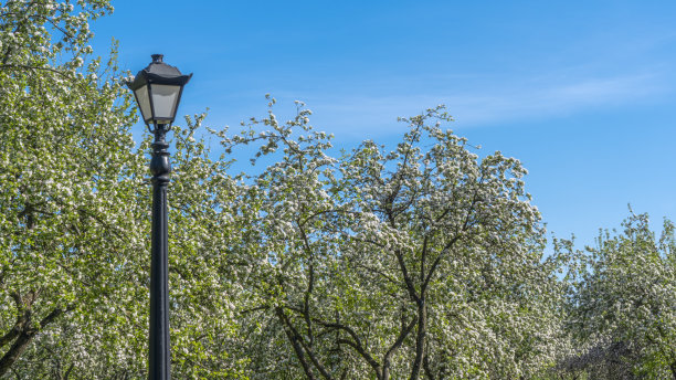 复古街灯在蓝天和绿树的背景。特写镜头。老式的lampost。空间的文本。图片下载