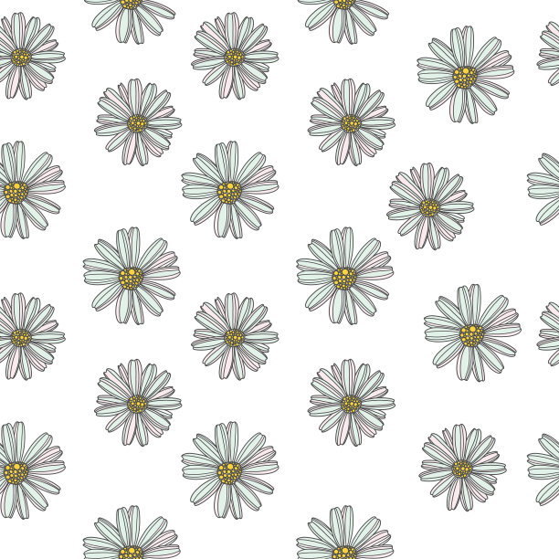 无缝图案的雏菊花图片下载
