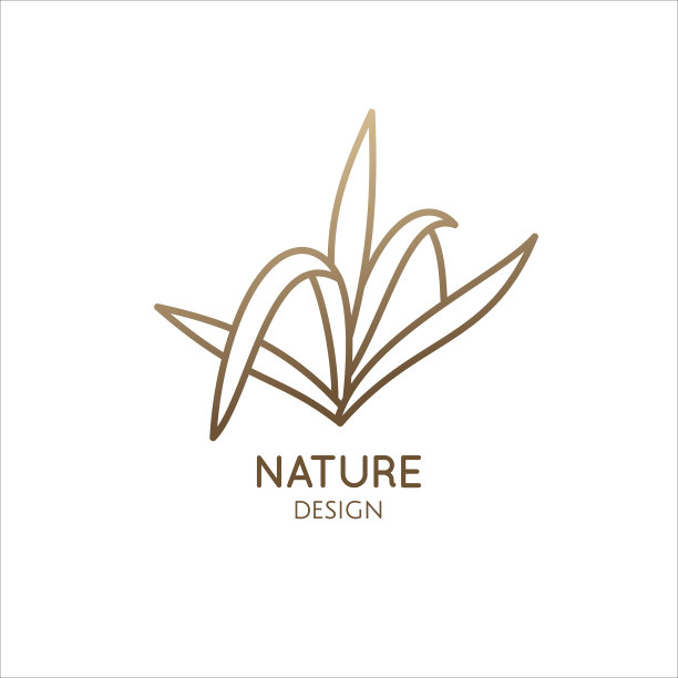 草本植物徽标勾勒出芦荟徽标中的图片下载