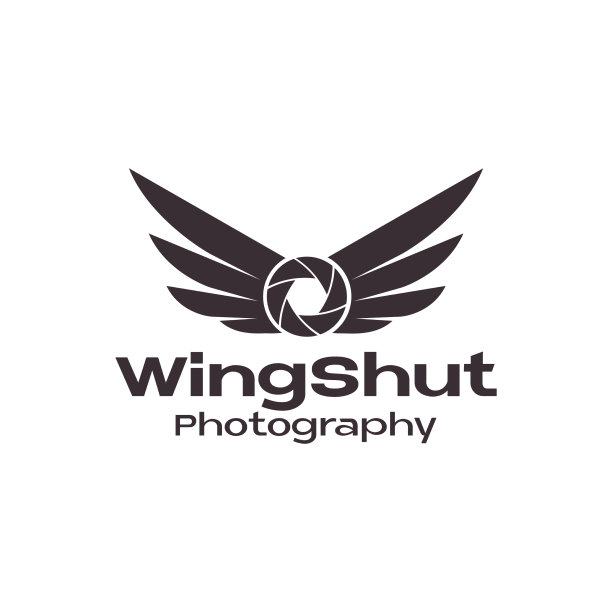 相机镜头用翅膀logo设计图形符号图片下载