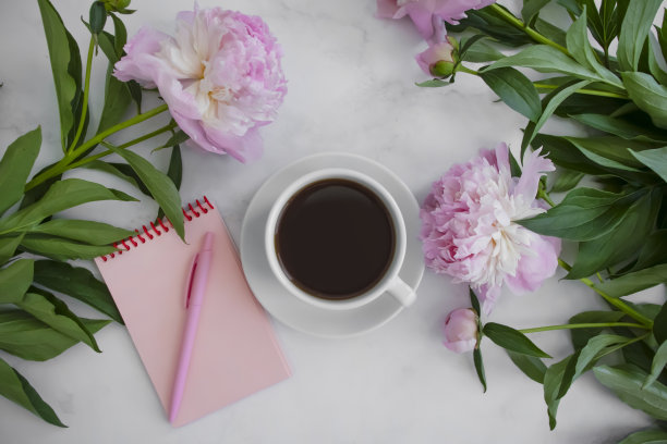 一杯咖啡，一朵牡丹花，一个浅色背景的笔记本图片下载