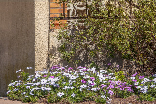 花栅栏图片下载