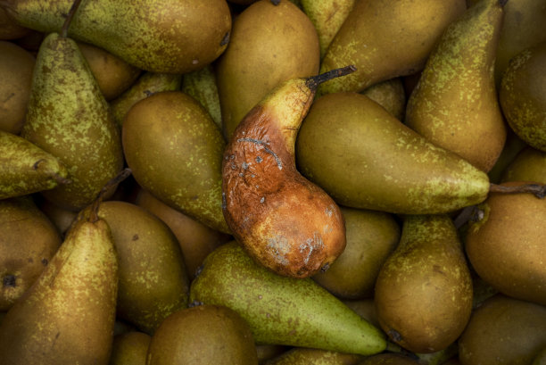 梨在商店图片下载