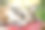 夏日里，一只五颜六色的流浪猫躺在椅子上，特写照片。图片下载