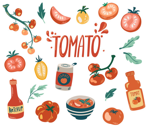 番茄集樱桃和番茄半枝图片下载