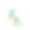 水彩画蓝莓小枝孤立在白色背景。森林的蓝色浆果。花园。工厂。绿色的树叶。图片下载