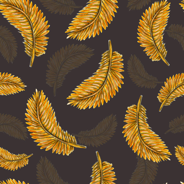 水彩图案金色的鸟羽毛在黑暗的背景为您无缝设计，手绘插图图片下载