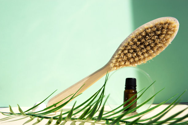 仙人掌鬃毛刷用于反脂肪按摩和按摩油的绿色背景。身体护理的概念。水疗、生态美容、美容理念。图片下载