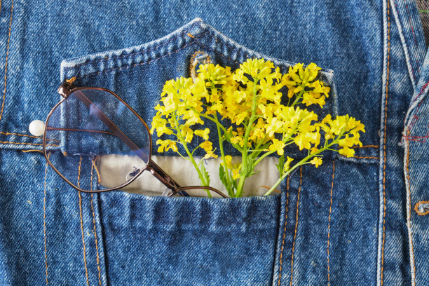 眼镜和黄色野花装在蓝色牛仔夹克的口袋里，潮流眼镜图片下载