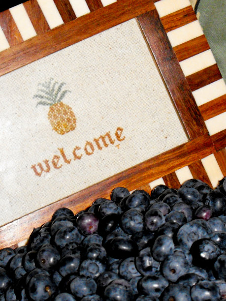 欢迎来到夏天图片下载