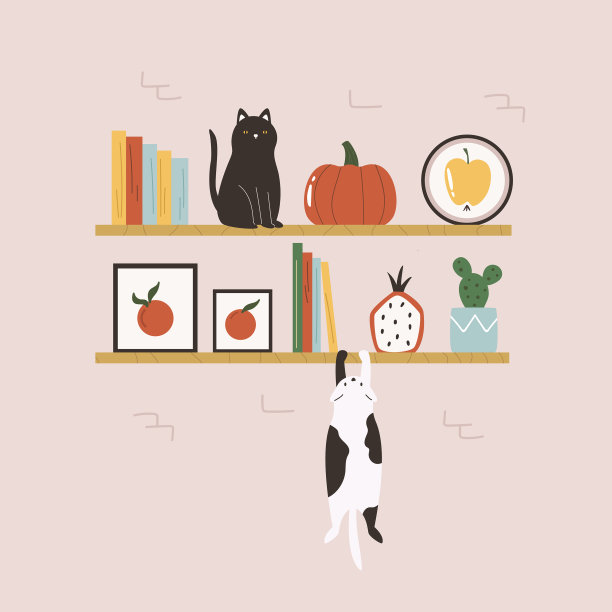 一堵墙和两个架子图片下载