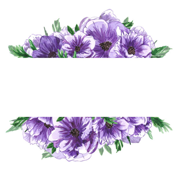 Handdrawn海葵寄宿生。水彩风花在白色的背景。印刷海报，婚礼卡，邀请，标签，旗帜设计集。图片下载