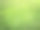 绿色美丽的野草作为纹理或背景。图片下载