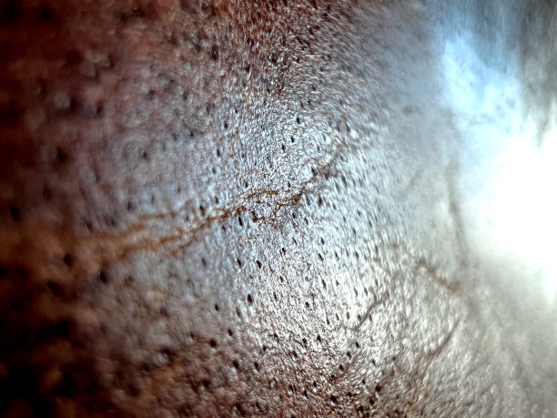 作为纹理或背景的棕色皮革的宏观图像。图片下载