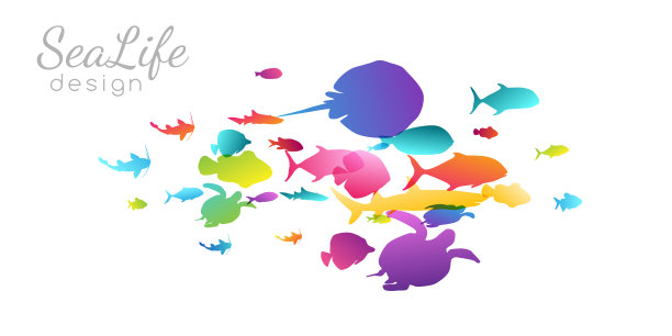 游泳的海洋或水族馆五彩斑斓的鱼群。一组颜色轮廓。收集孤立向量装饰。图片下载