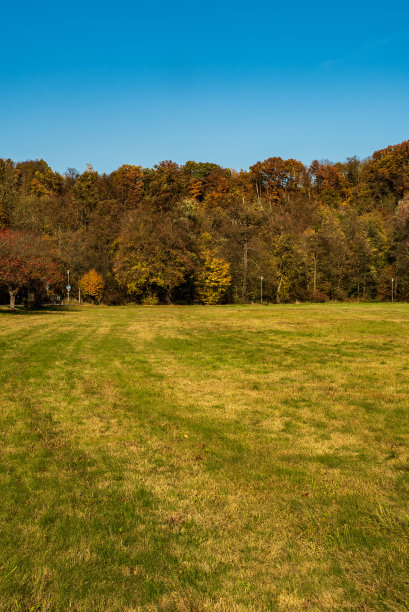 秋天的风景有草地，五颜六色的树和晴朗的天空图片下载