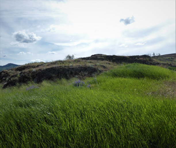 多山的风成草地图片下载