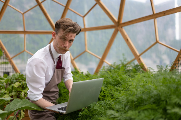 温室里的人耕种菜园和蔬菜。图片下载