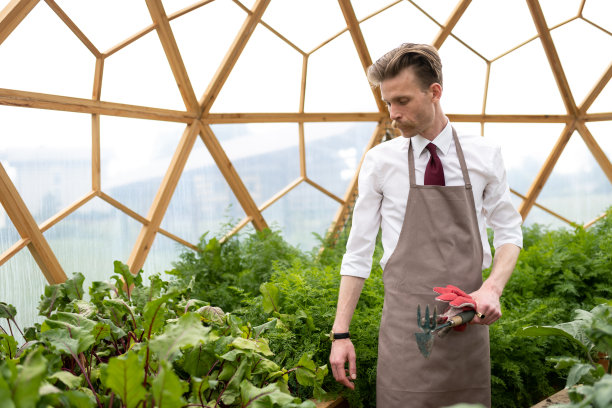 温室里的人耕种菜园和蔬菜。图片下载