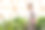 温室里的人耕种菜园和蔬菜。图片下载