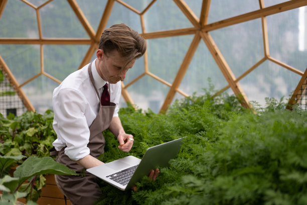 温室里的人耕种菜园和蔬菜。图片下载