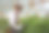 温室里的人耕种菜园和蔬菜。图片下载
