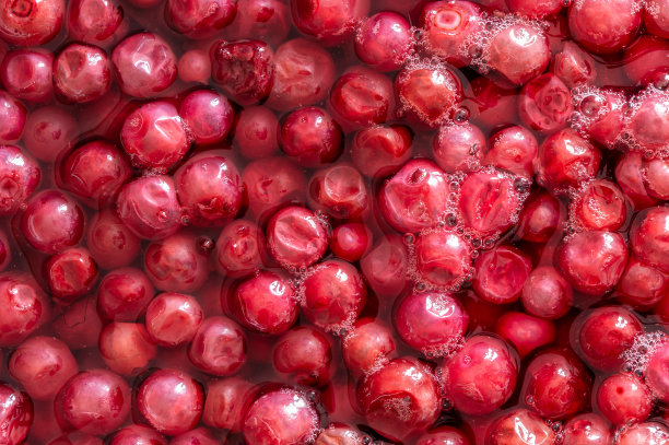 越橘在水中图片下载