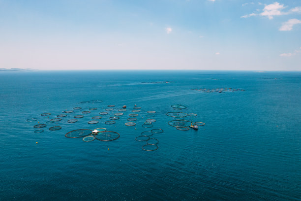无人机观察海洋中的养鱼场图片下载