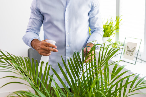成熟的男人关心他的植物图片下载