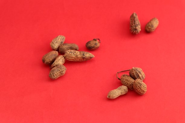 红色背景的花生。可以作为基础蔬菜或豆类的背景。图片下载
