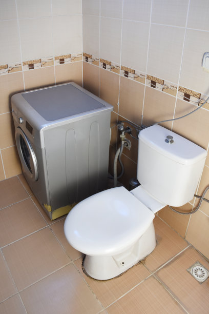 浴室里有洗衣机和抽水马桶图片下载