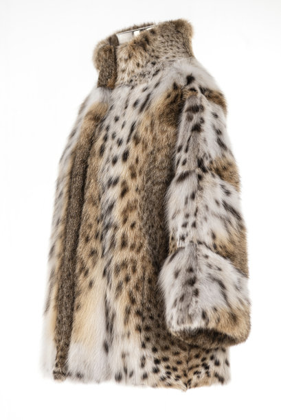 昂贵的皮草大衣收藏在人体模型上。图片下载